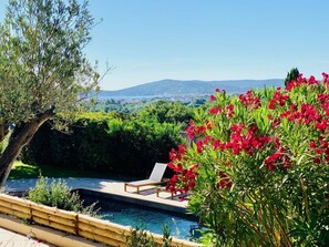 Alberca al aire libre 