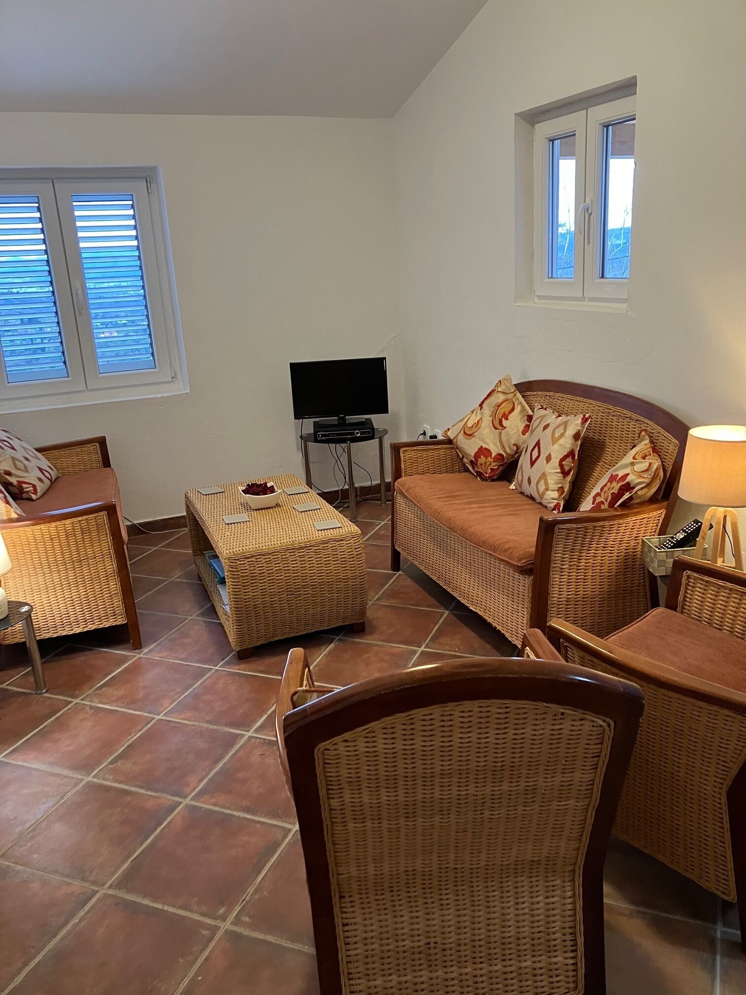 TV, DVD player, books, video library