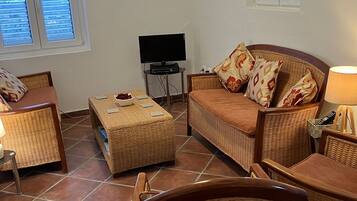 TV, DVD player, books, video library