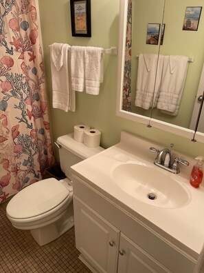 Duschwanne, Haartrockner, Handtücher, Seife