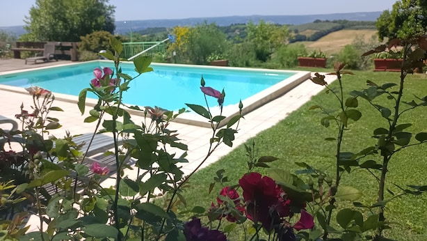 A swimming pool surrounded by a well-maintained lawn and flowering plants.