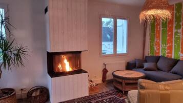 TV, fireplace, books