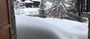 Appt chaleureux 4p bourg et skis aux pieds  résidence  les Teppes