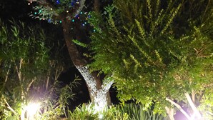 Un jardín con plantas en macetas y un árbol iluminado por luces colgantes.