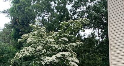 Located near everything restaurants beaches parks gate way to hamptons