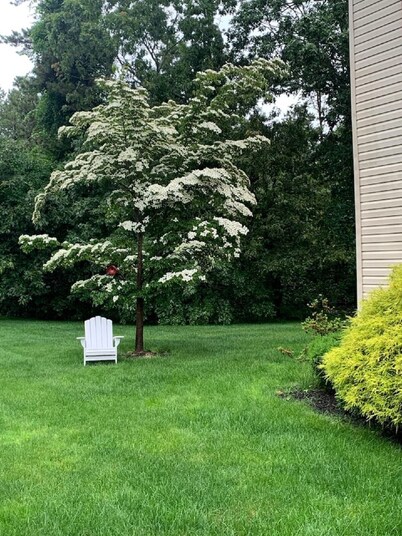 Located near everything restaurants beaches parks gate way to hamptons 