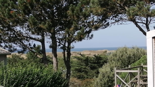 Paisaje costero con vista al mar, una valla de madera y abundante vegetación.