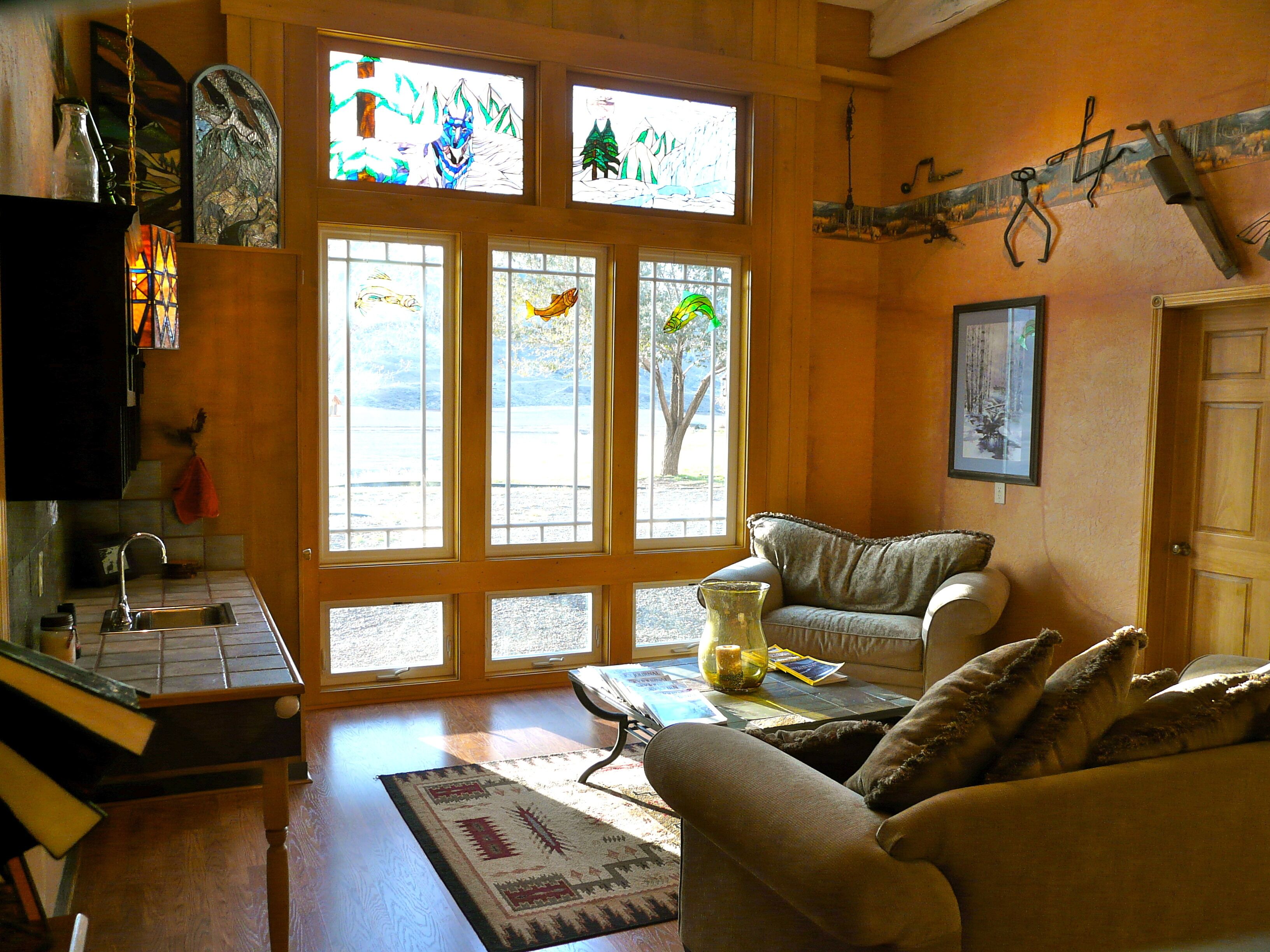 TV connectée, cheminée, lecteur de DVD, livres