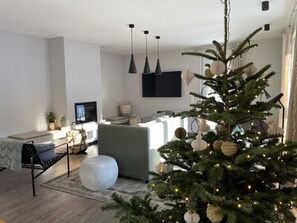 TV, books - Cottage in the countryside with fireplace, sauna, breathtaking view of the valley, several terraces, 1500sqm plot 1.6m high fenced. (Gerabronn)