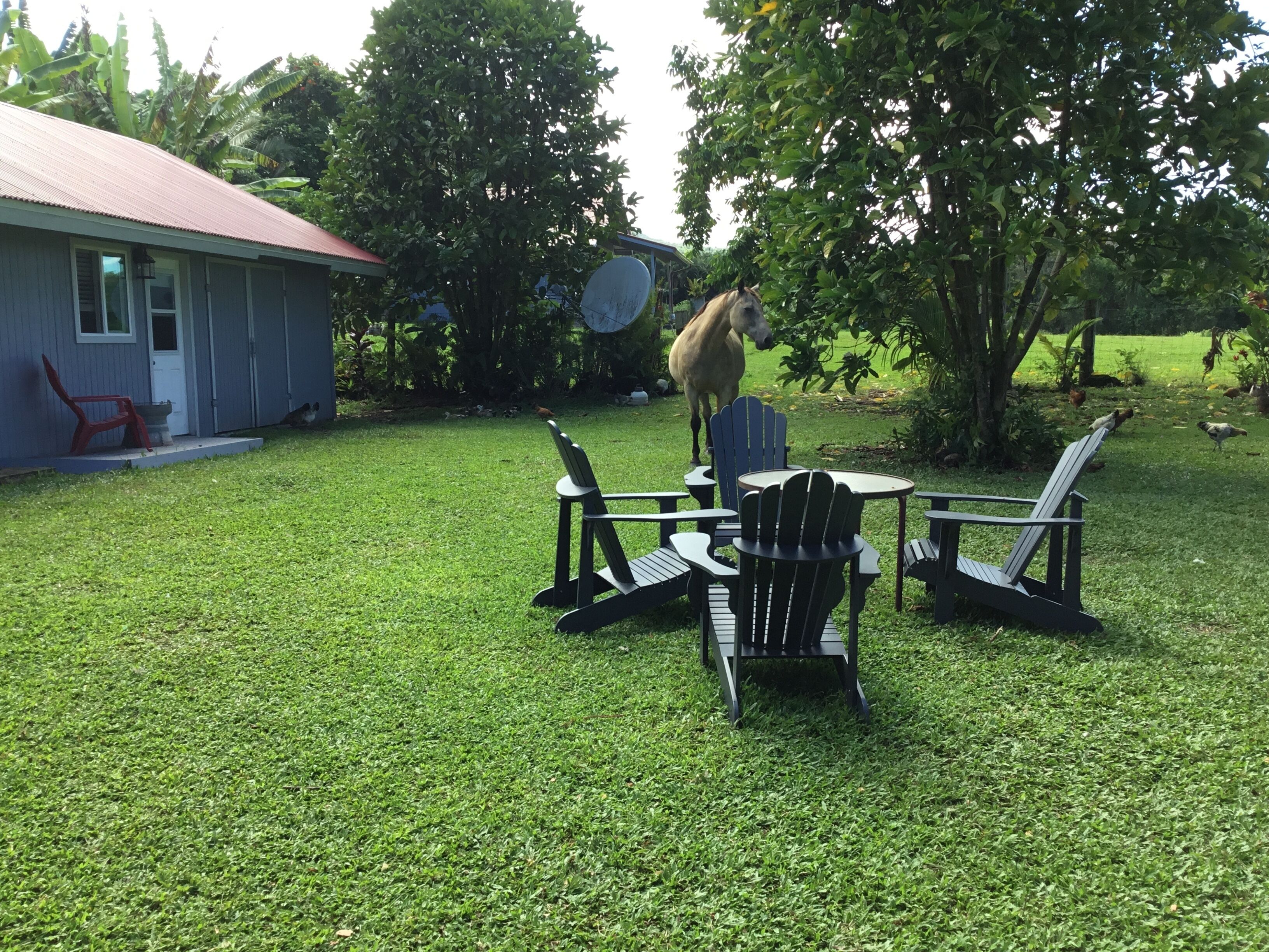 Restauration extérieure