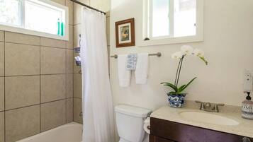 Ensemble douche/baignoire, sĂšche-cheveux, serviettes fournies, savon