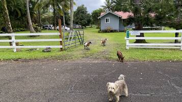 Enceinte de lâhĂ©bergement