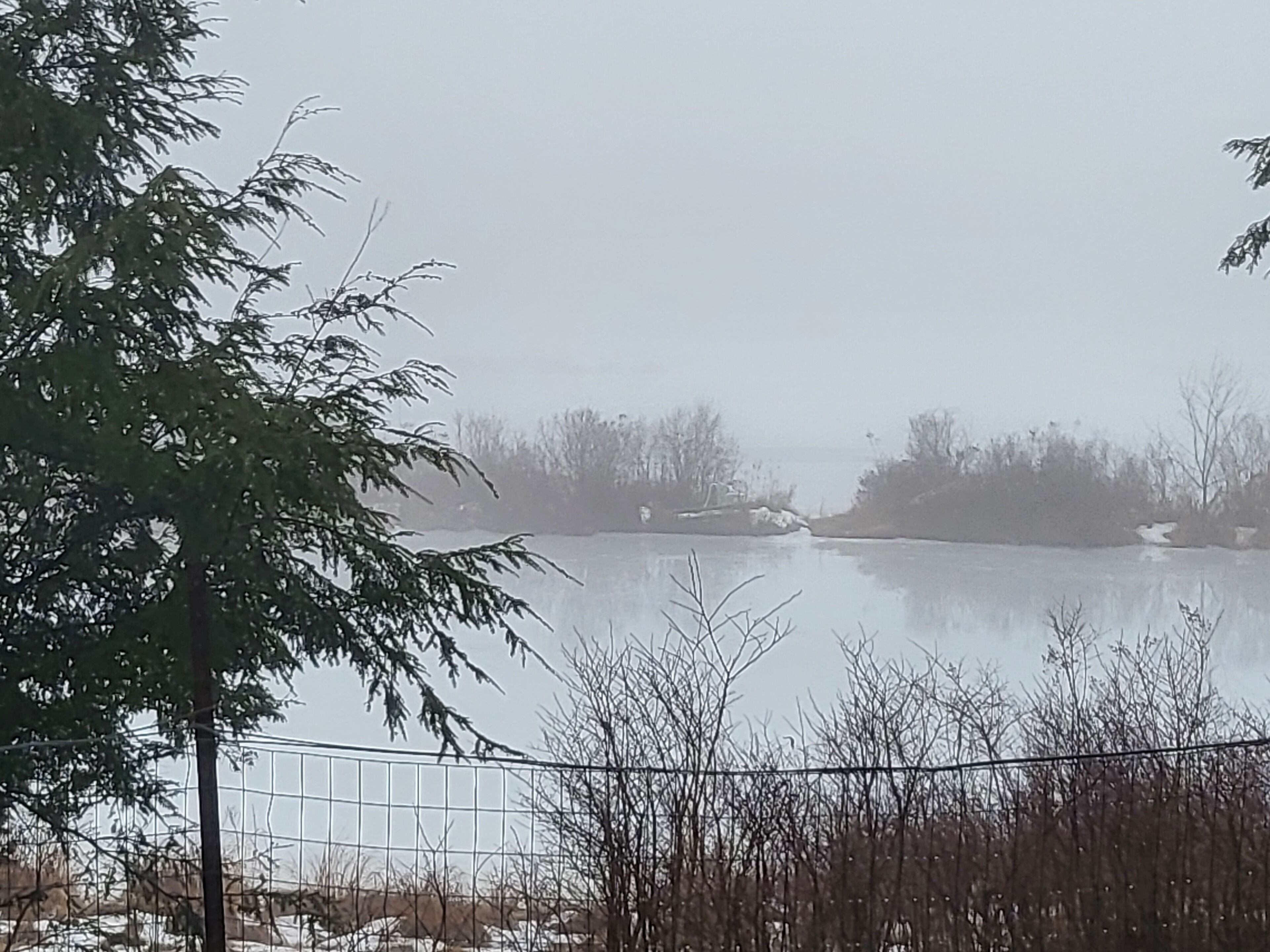 A serene landscape with a frozen lake, surrounded by trees and a fence.