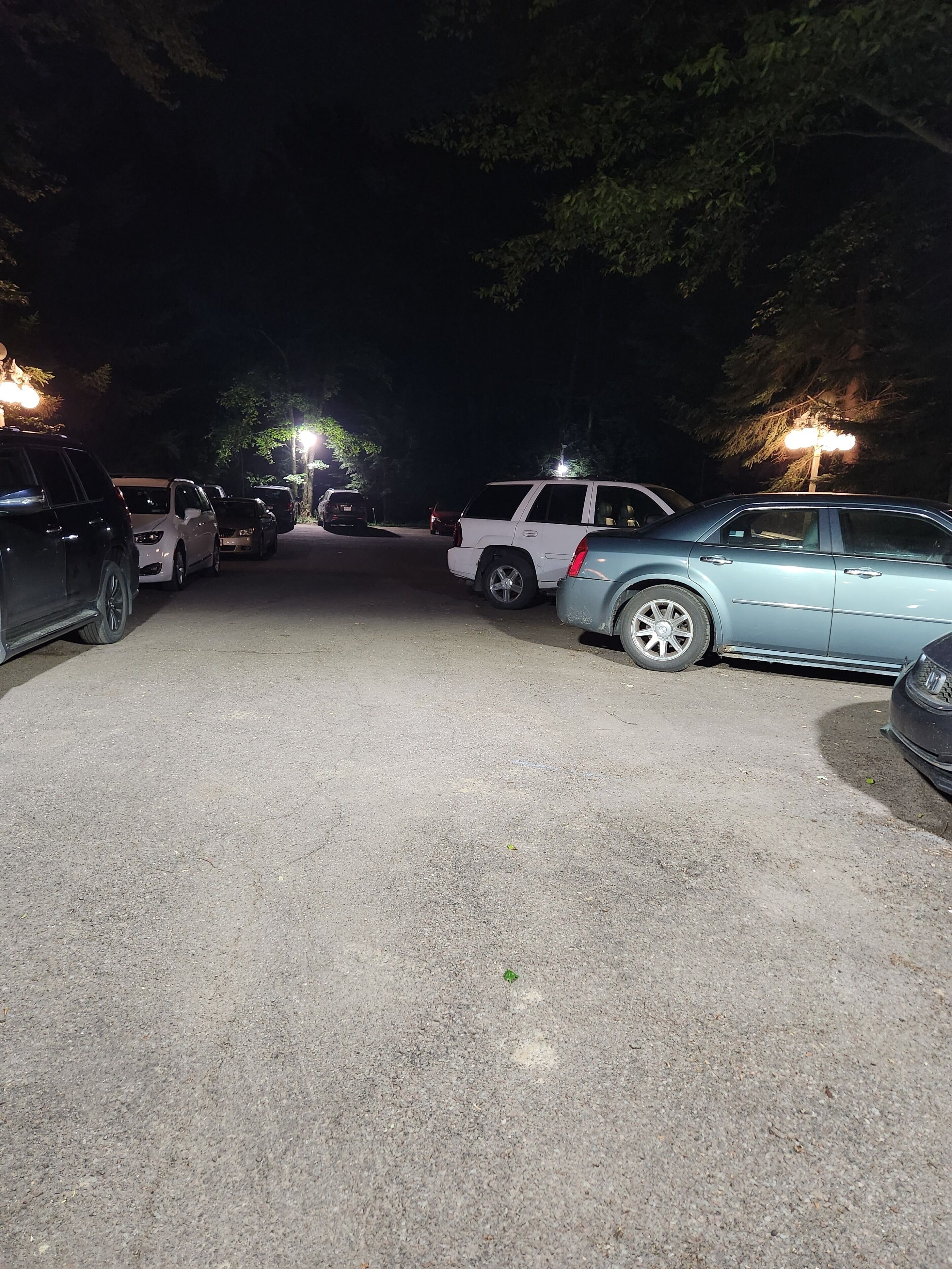 A parking lot with several cars parked, surrounded by trees and streetlights.