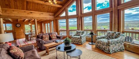 TV connectée, cheminée, lecteur de DVD, livres