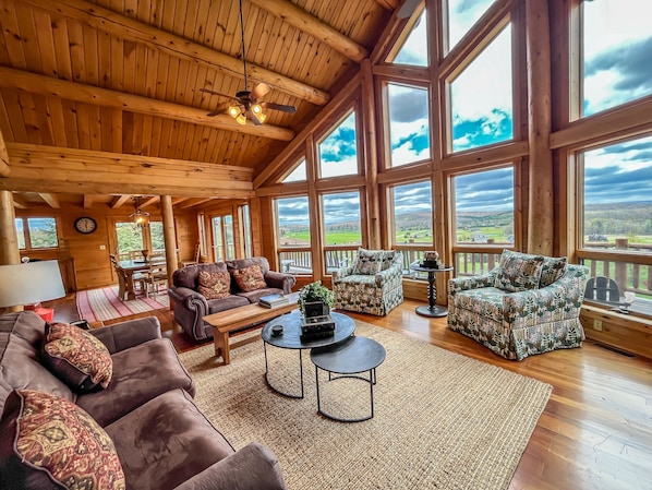 Smart TV, fireplace, DVD player, books