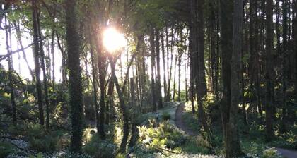 Garden Cottage on Tintern Trails