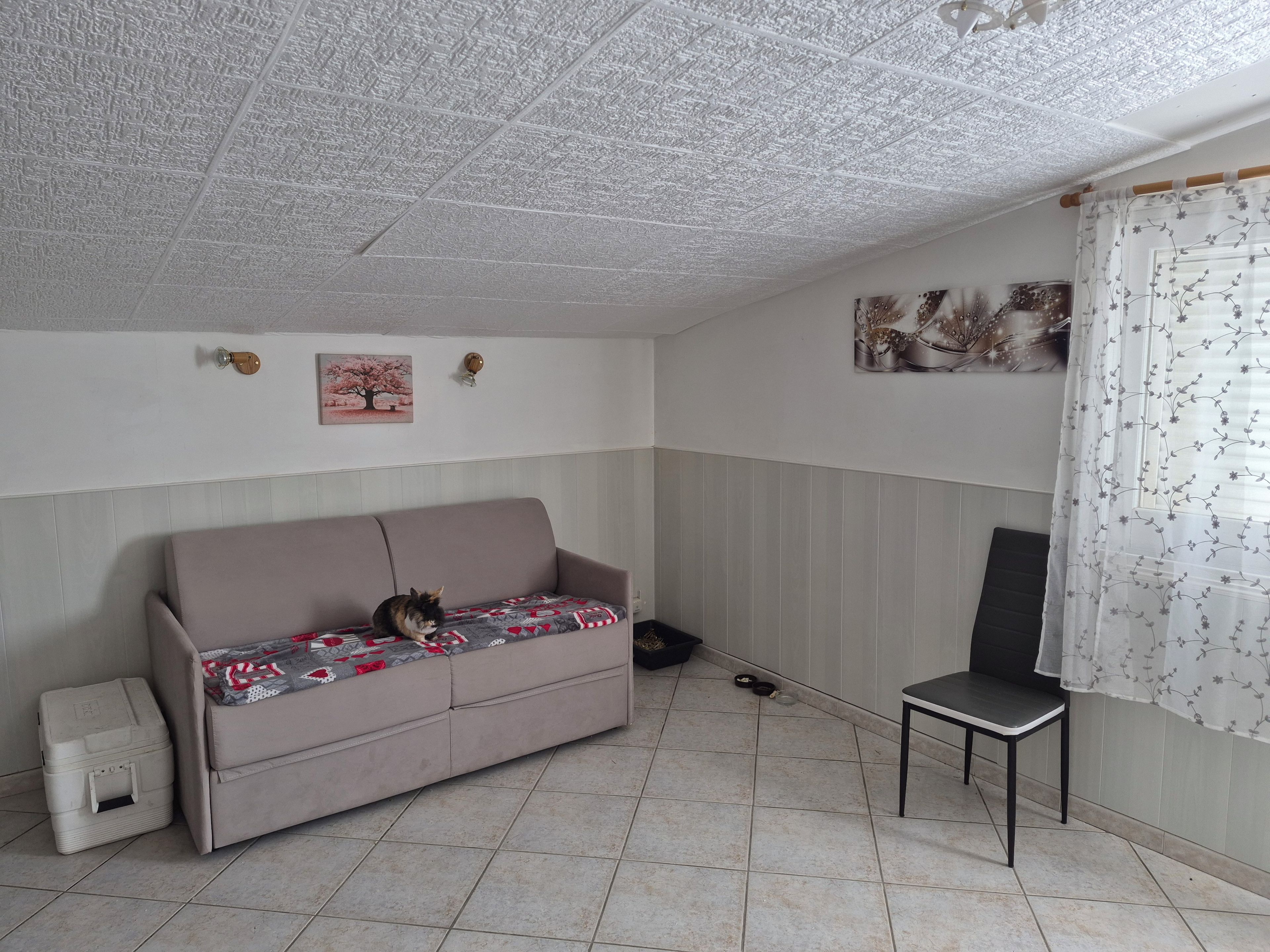 A room with a sofa, a chair, a radiator, and a wall with a floral pattern.