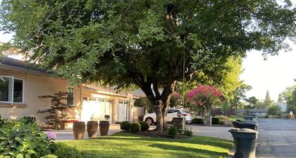 Beautiful Sierra Oaks Home - Perfect for Families