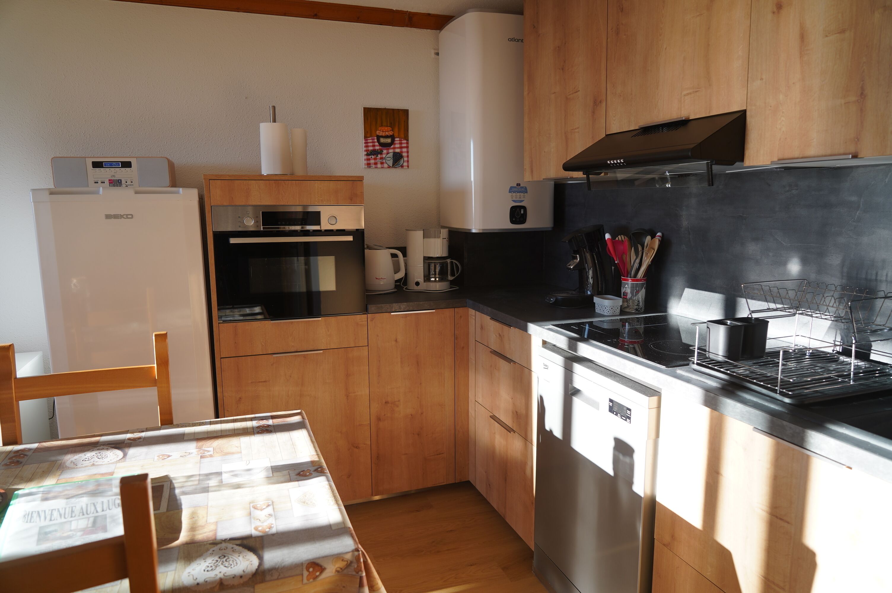 Réfrigérateur, micro-ondes, plaque de cuisson, lave-vaisselle