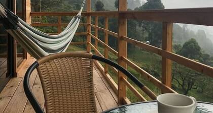 4 Luxury Cabins 5 stars.