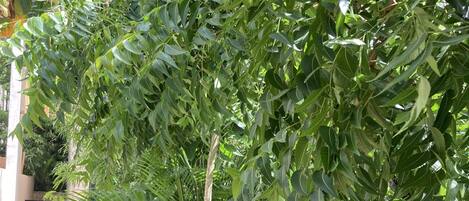 Details aan de buitenkant