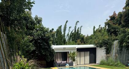 Magnificent villa with swimming pool