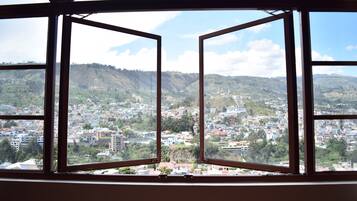 Suite, City View | View from room