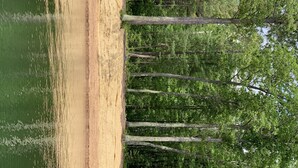 A forested area with a sandy beach and a calm body of water. - 2 Bedroom Camper with Rooftop Boat House Deck (Gwinn)