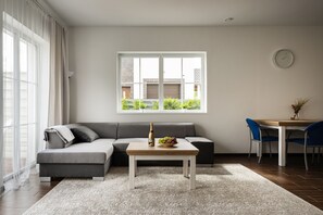 智能電視、壁爐、 辦公室