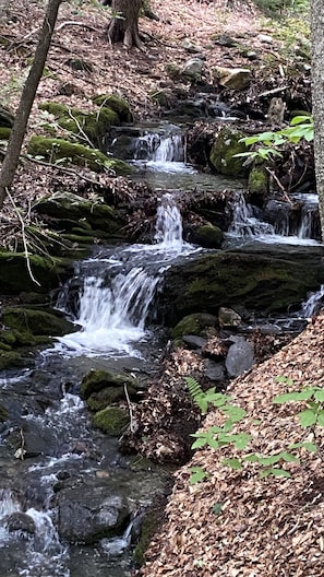 A natural stream flowing over rocks in a forested area.