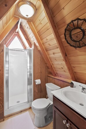 Shower, towels, toilet paper