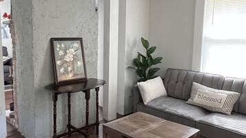 TV connectée, cheminée, livres