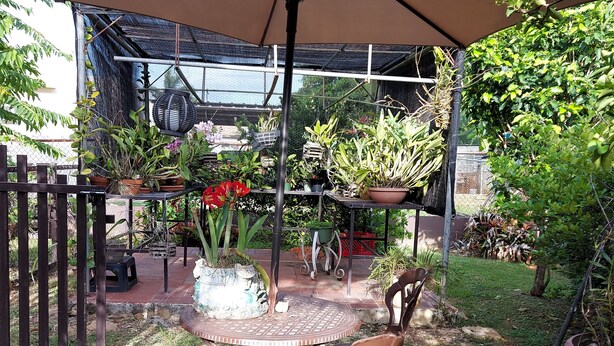 Uma área de estar coberta ao ar livre, com cadeiras e mesas de metal, cercada por plantas em vasos e um cercado de madeira.