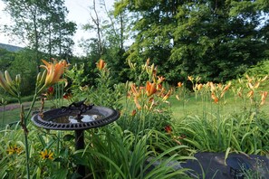 Enjoy birdwatching in this serene garden setting surrounded by vibrant flowers and lush greenery.