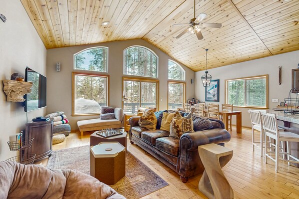 TV, fireplace, DVD player