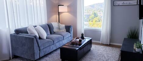 スマートテレビ、DVD プレーヤー