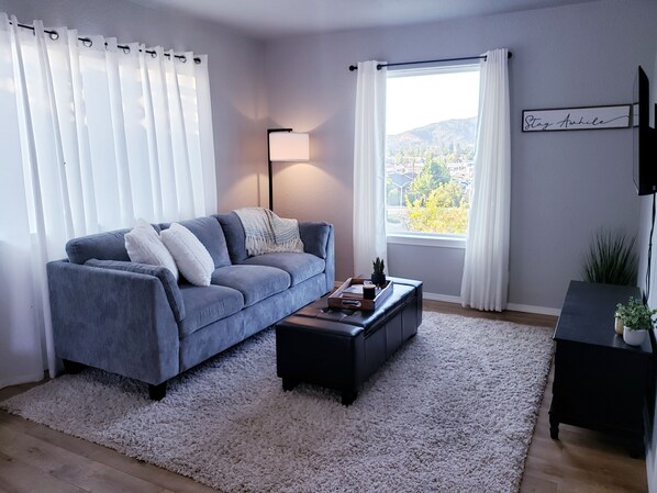 Smart TV, DVD player