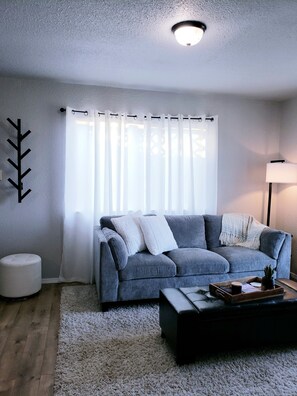 Smart TV, DVD player