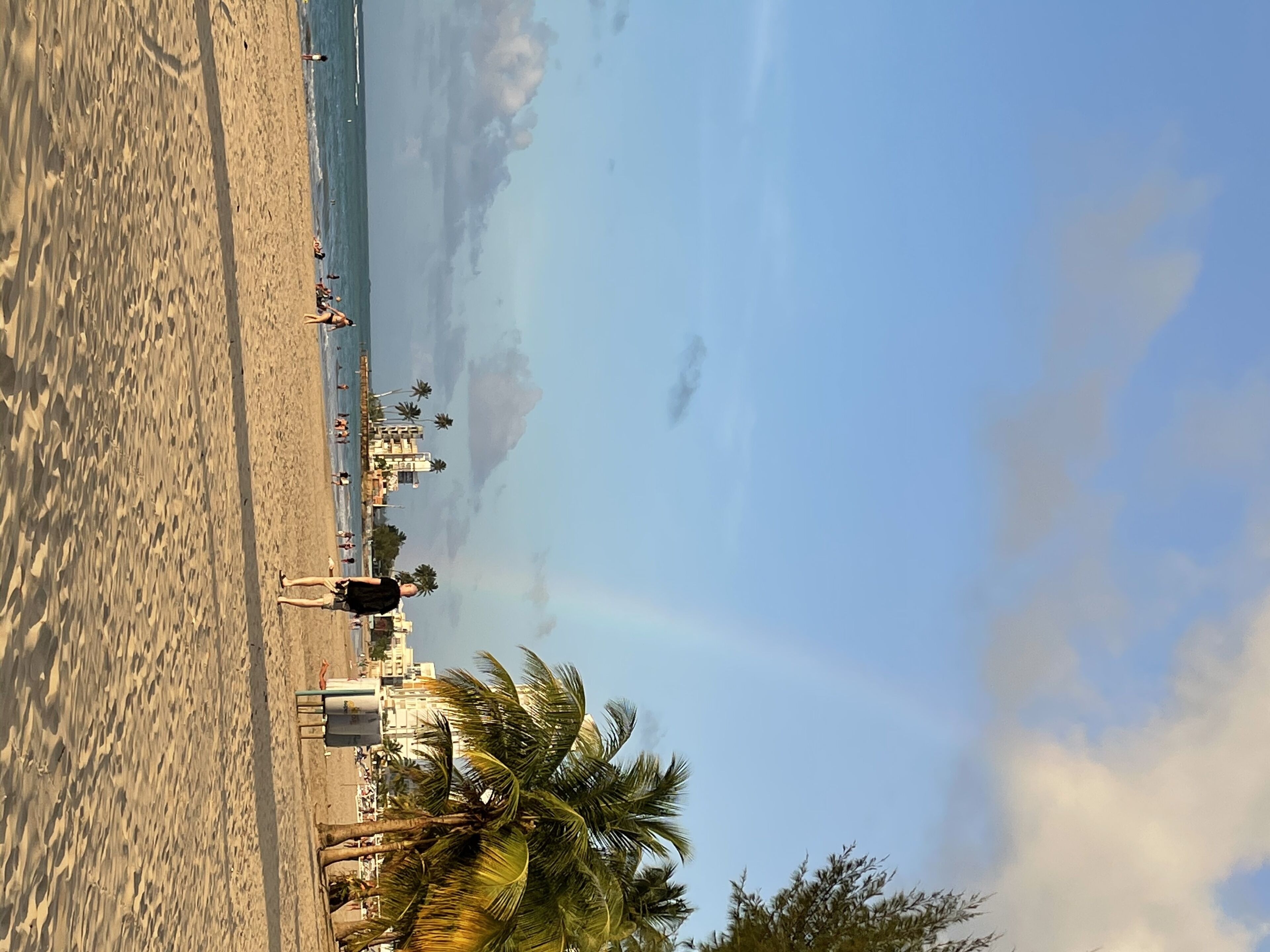 A beach with a clear sky, palm trees, and a few people.