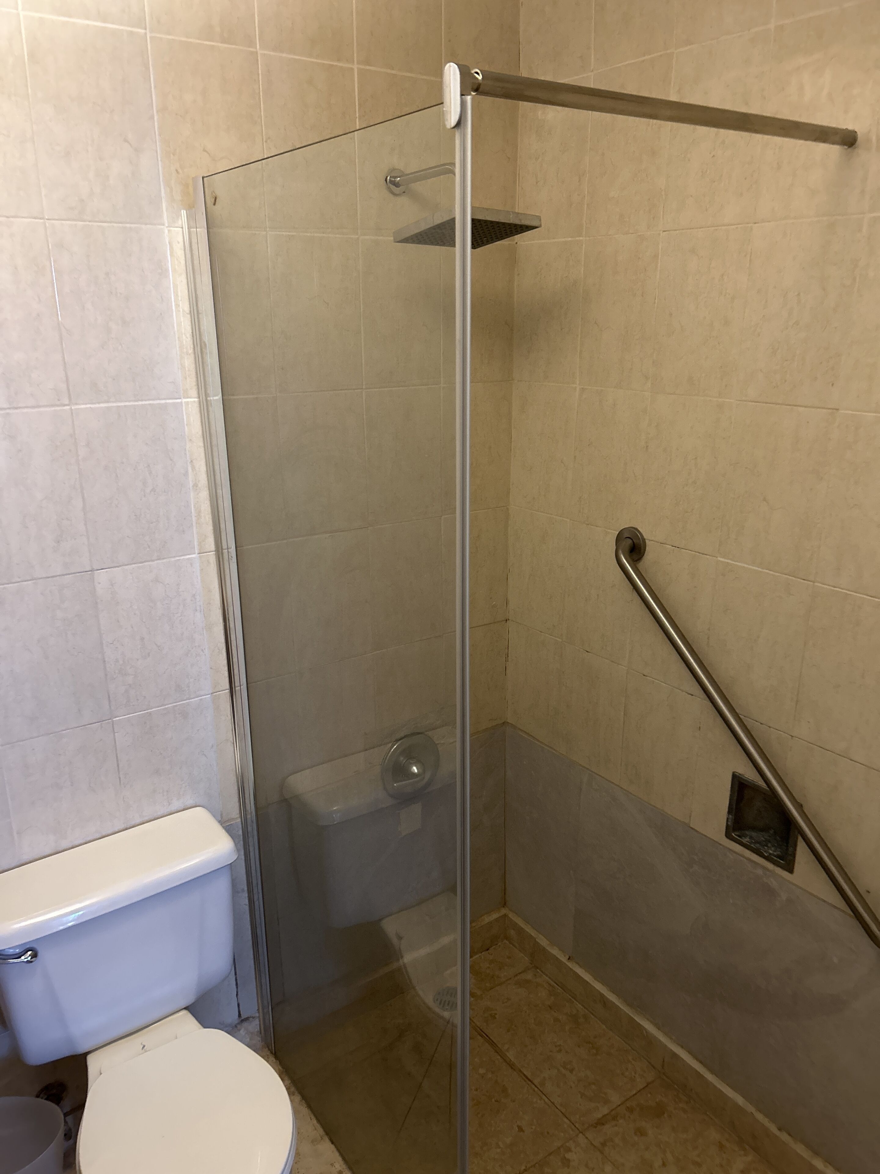 A bathroom with a glass-enclosed shower, a toilet, and a grab bar.