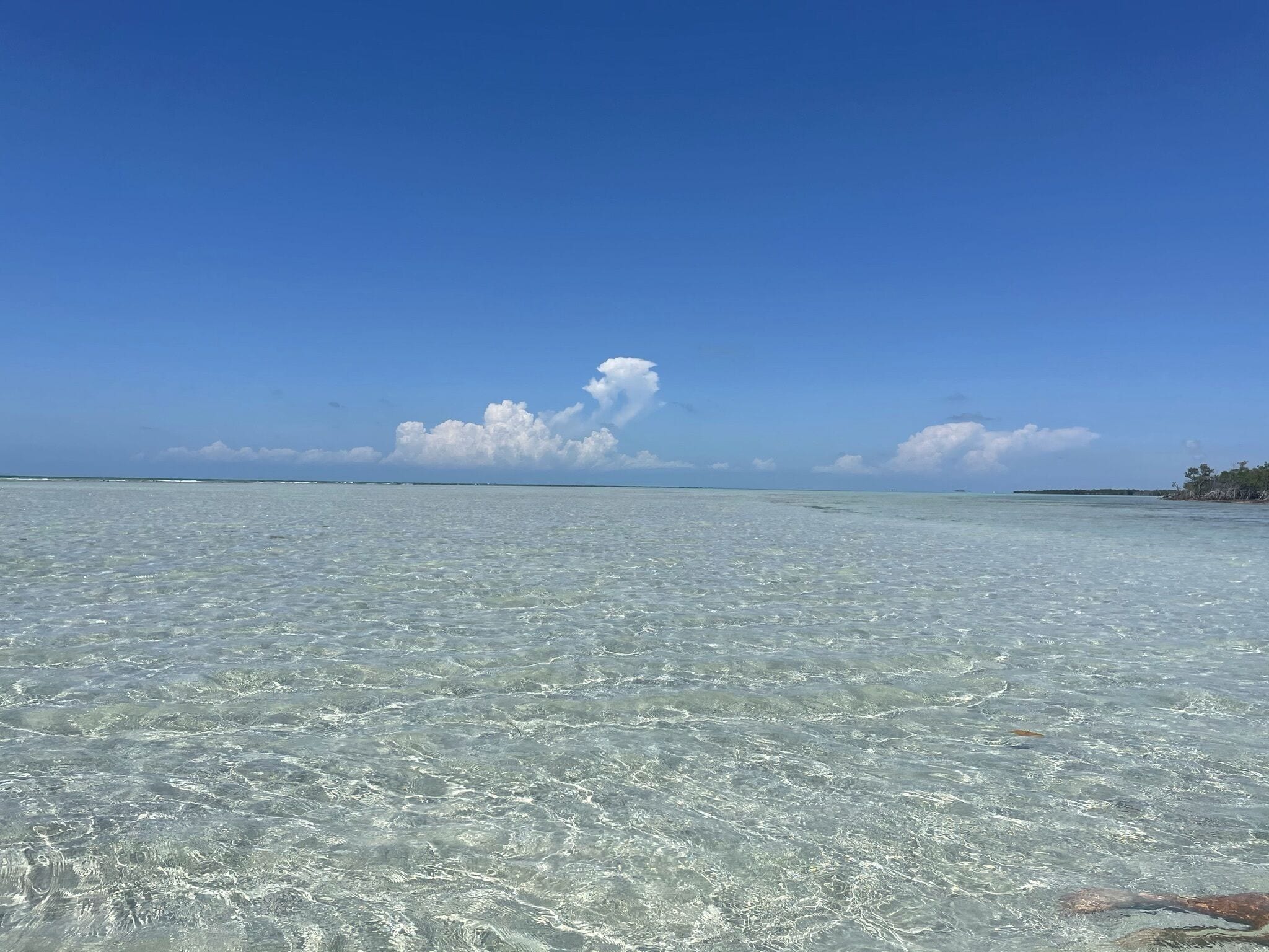 Beach nearby, beach towels