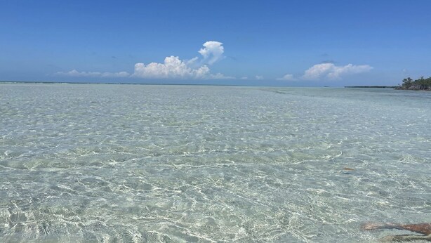 A clear view of a beach with shallow water and distant land. - Penthouse with amazing view beach/city (Carolina)