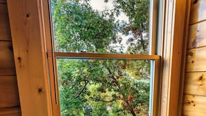 Una mesa de madera con una botella de vino, dos copas y una bandeja de uvas junto a una ventana que da a un paisaje de árboles.
