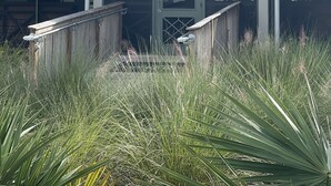 Un edificio con un cartel que dice "OVERLOOK Bar & Grill" y una terraza de madera que conduce a la entrada.