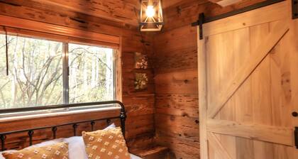 The Rustic Blue Cabin surrounded by Aspen Trees