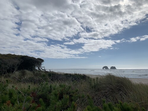 Romantic Tropical-themed Bungalow by the Sea. Pet Friendly!! Sleeps 2