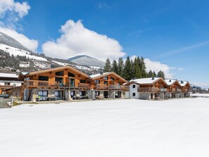 Exterior - Luxury lodge with garden and private sauna (Wald im Pinzgau)