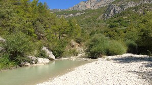 Ein Fluss fließt durch eine felsige Landschaft mit Bäumen und einer bergigen Kulisse.