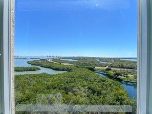 Une vue depuis une fenêtre donnant sur un paysage côtier, caractérisé par une végétation luxuriante et des canaux d’eau.